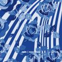 Blue Rose