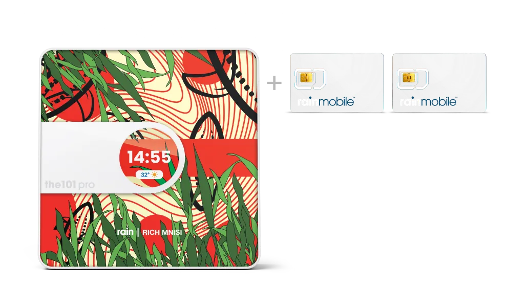 rainone the101 100mbps + 2 sims with Cornfield skin